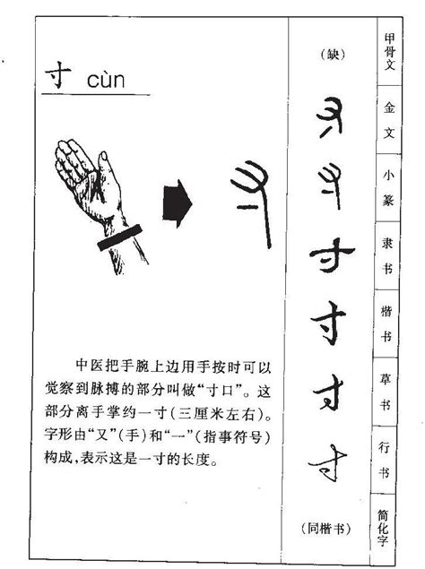 尺 字|尺字形演变字源